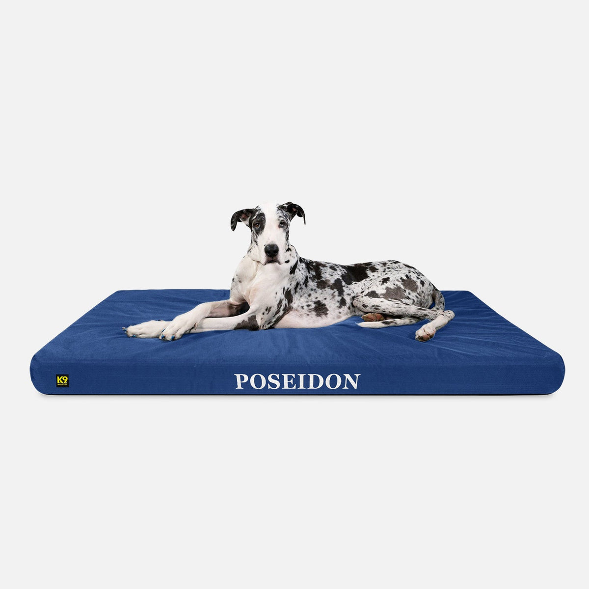 Ripstop Orthopedic Dog Bed, XXL / Blue Quartz