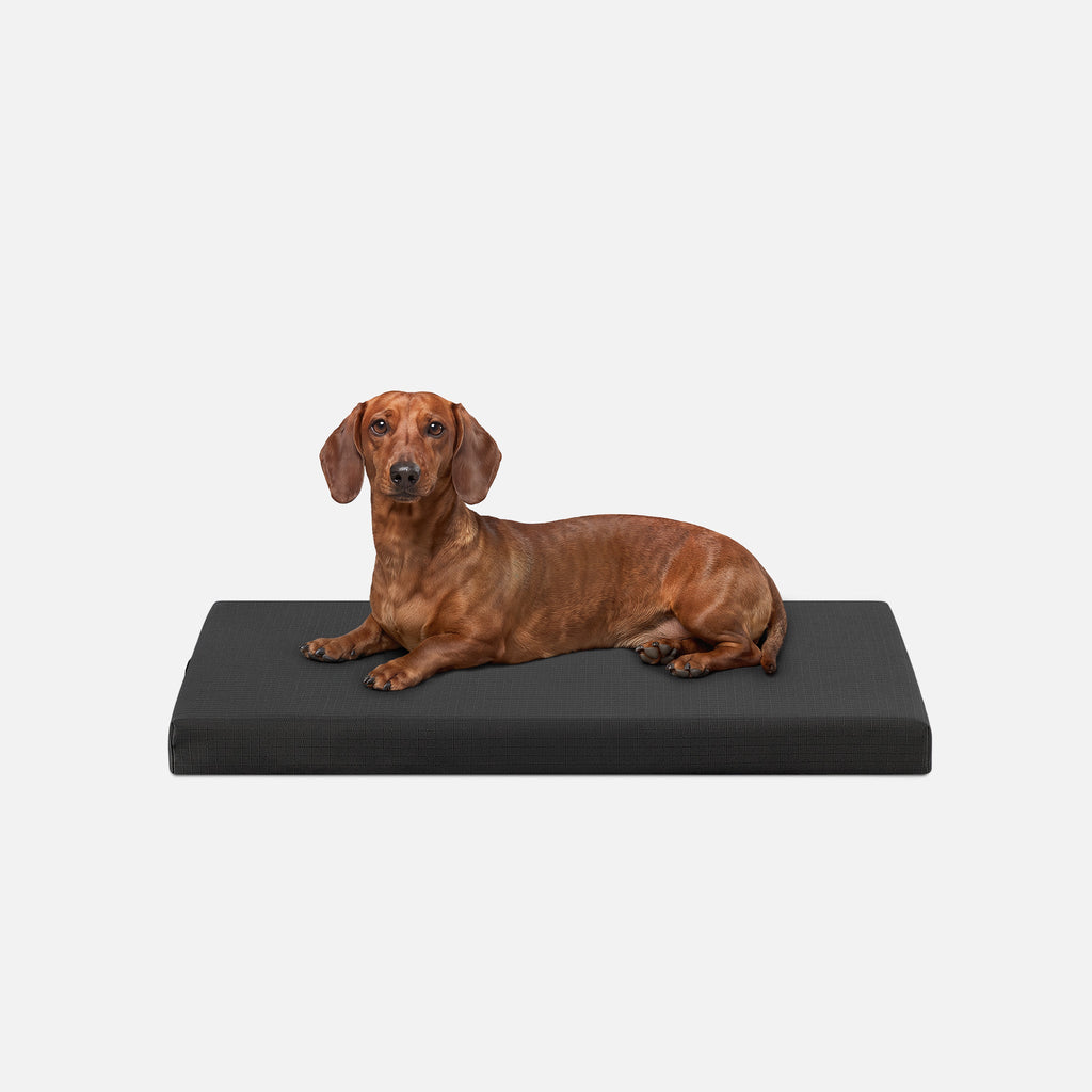 Ripstop Orthopedic Dog Crate Bed product image 2