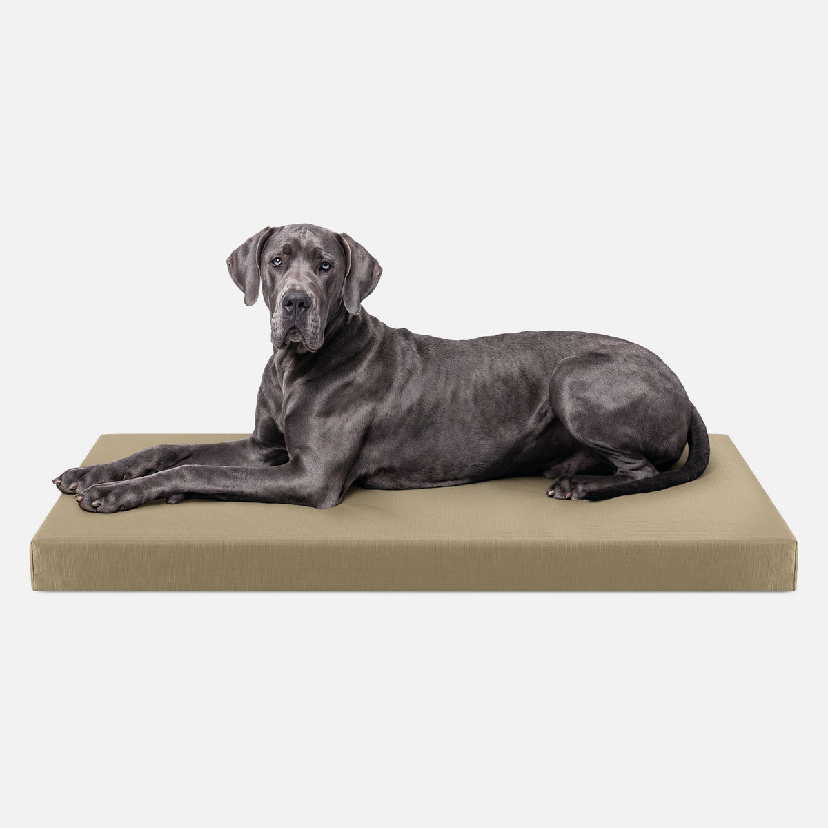 Ripstop Orthopedic Dog Crate Bed product image 26