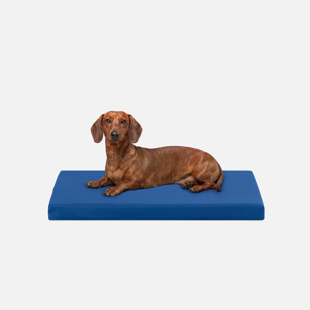 Ripstop Orthopedic Dog Crate Bed, S / Blue Quartz