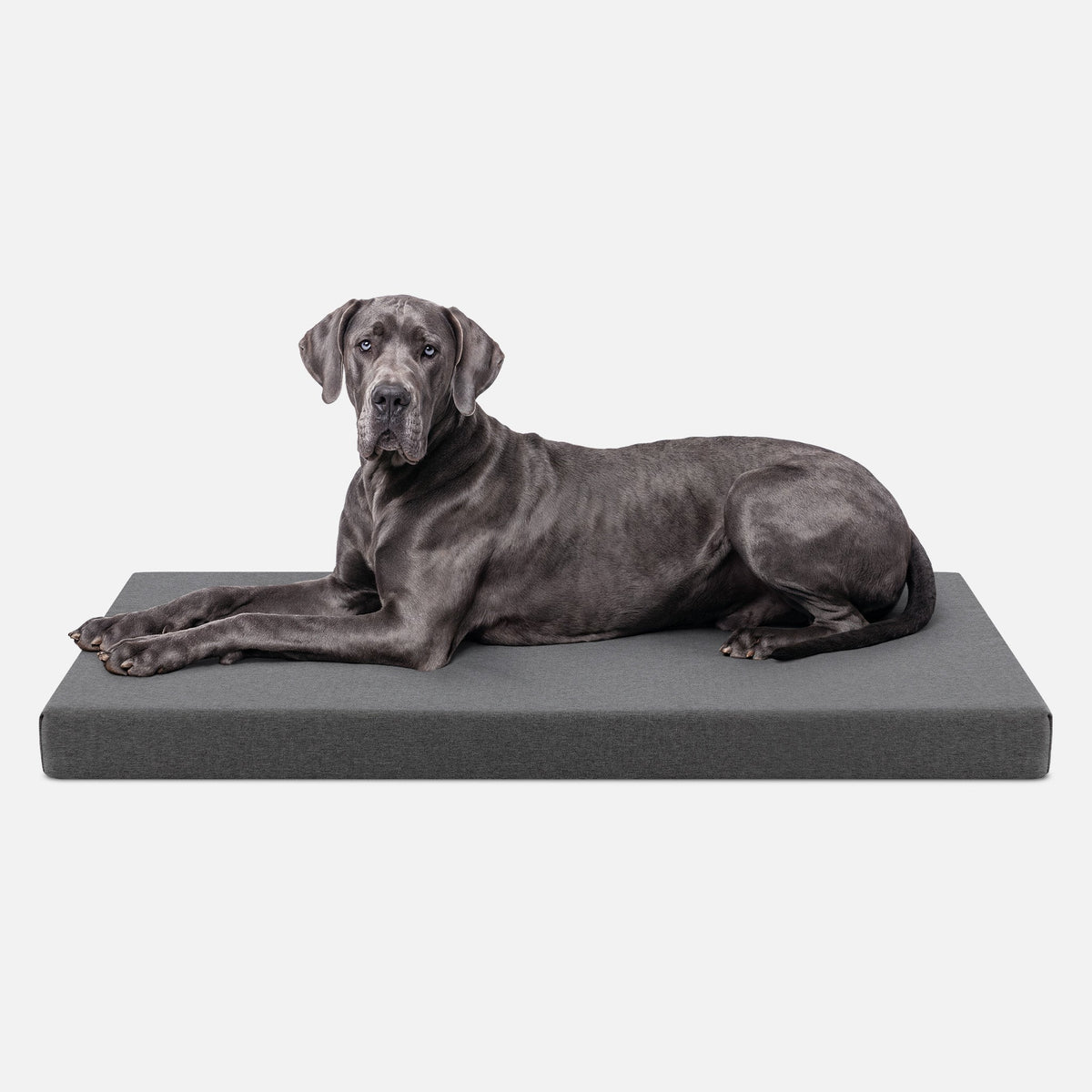 Ripstop Orthopedic Dog Crate Bed, XXL / Titanium Premium Finish