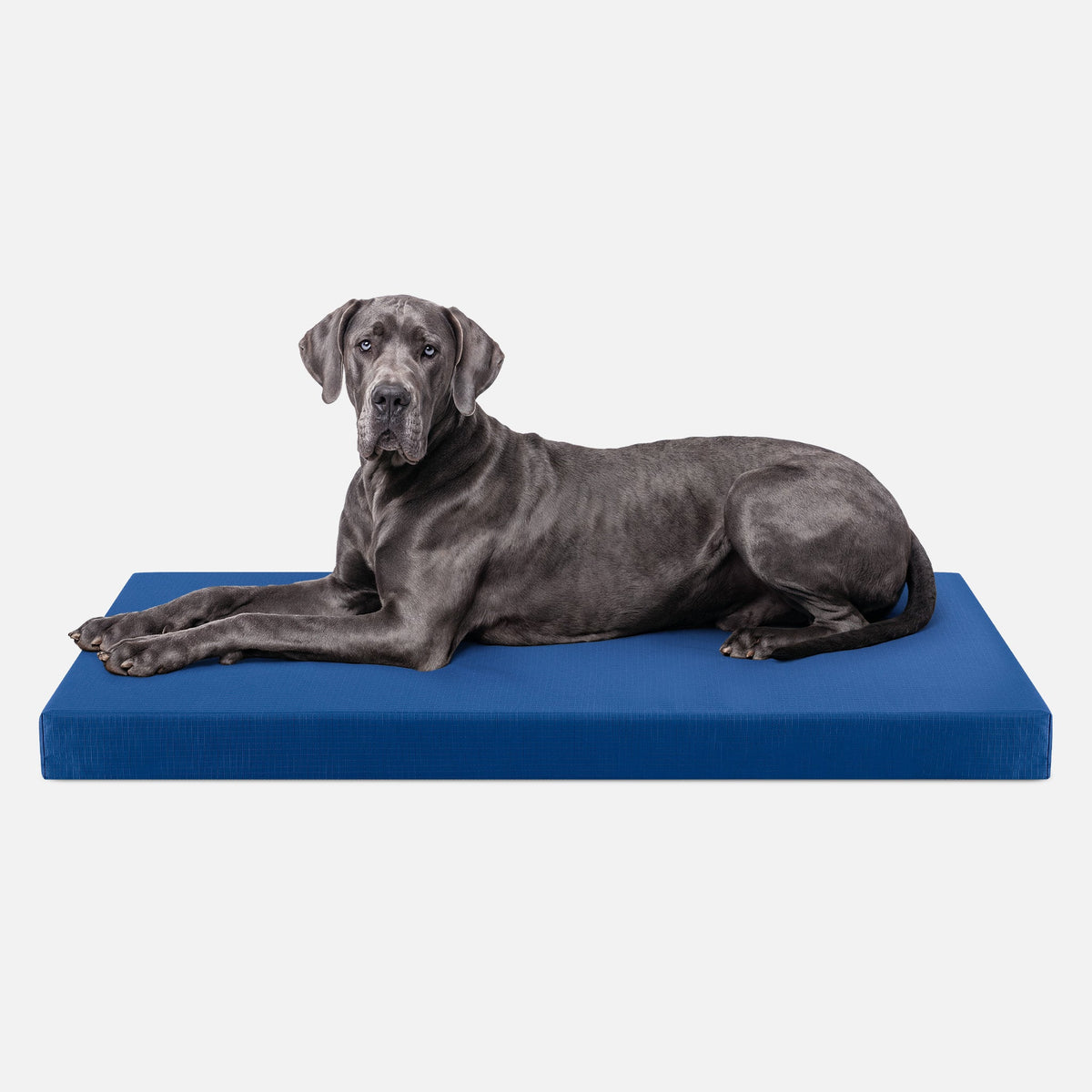 Ripstop Orthopedic Dog Crate Bed, XXL / Blue Quartz