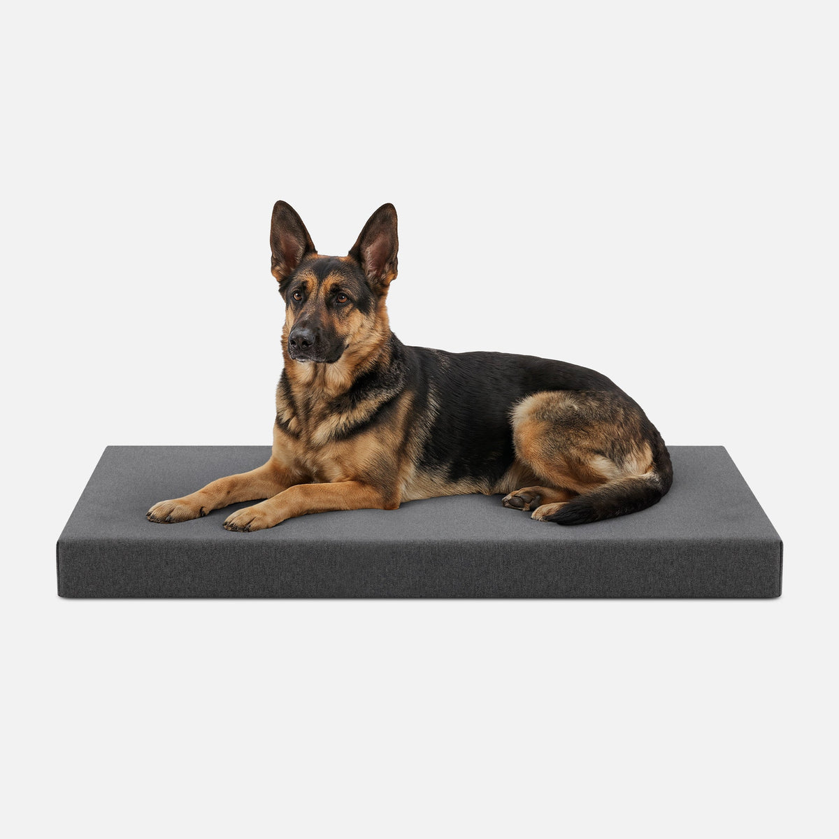 Ripstop Orthopedic Dog Crate Bed, XL / Titanium Premium Finish