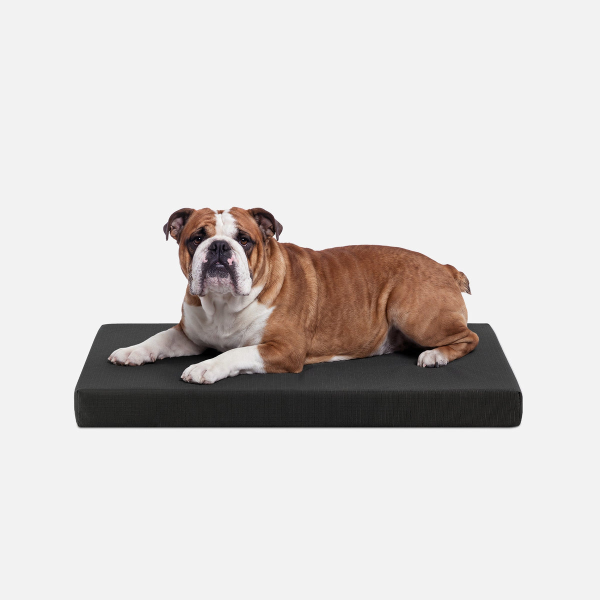 Ripstop Orthopedic Dog Crate Bed, M / Obsidian Black