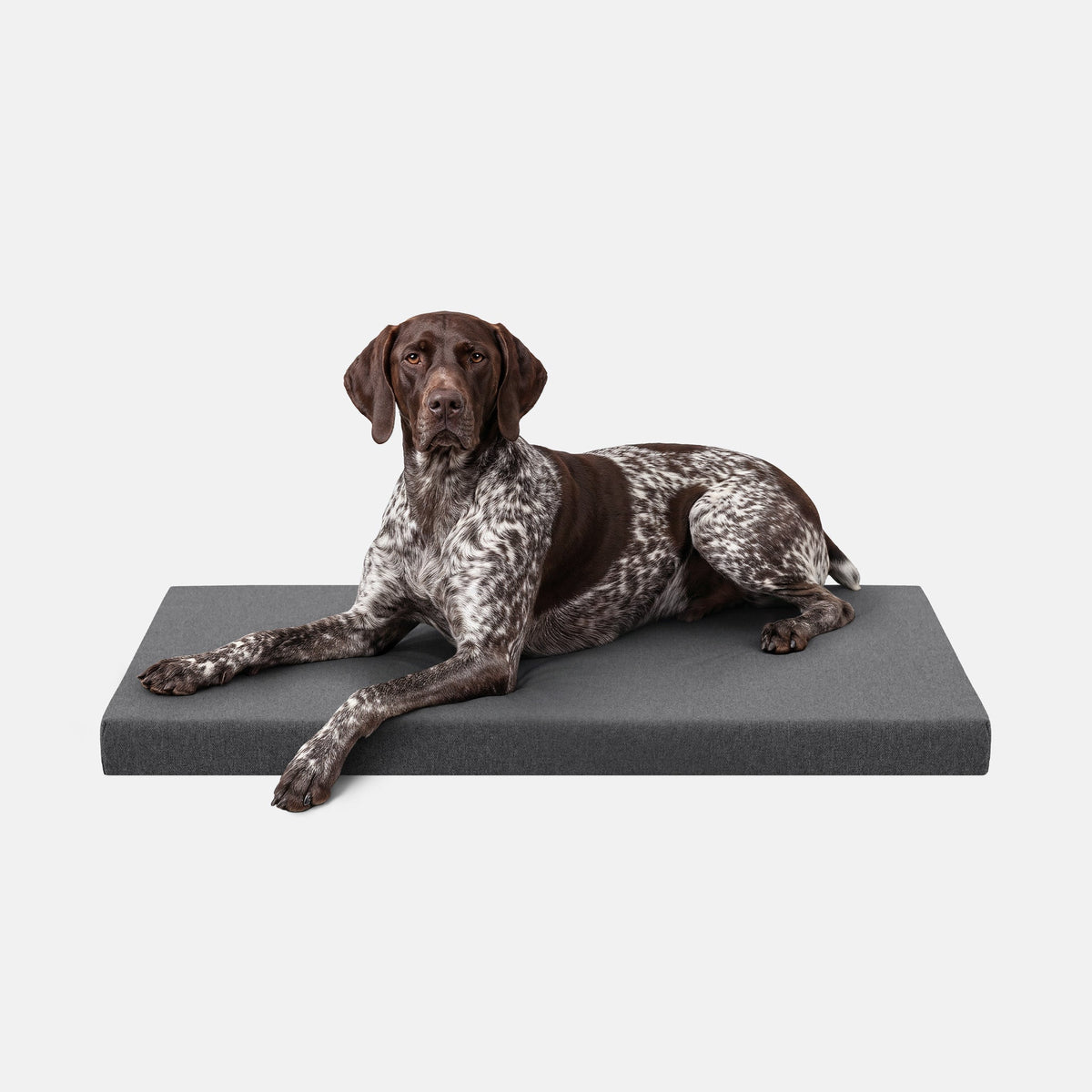 Ripstop Orthopedic Dog Crate Bed, L / Titanium Premium Finish