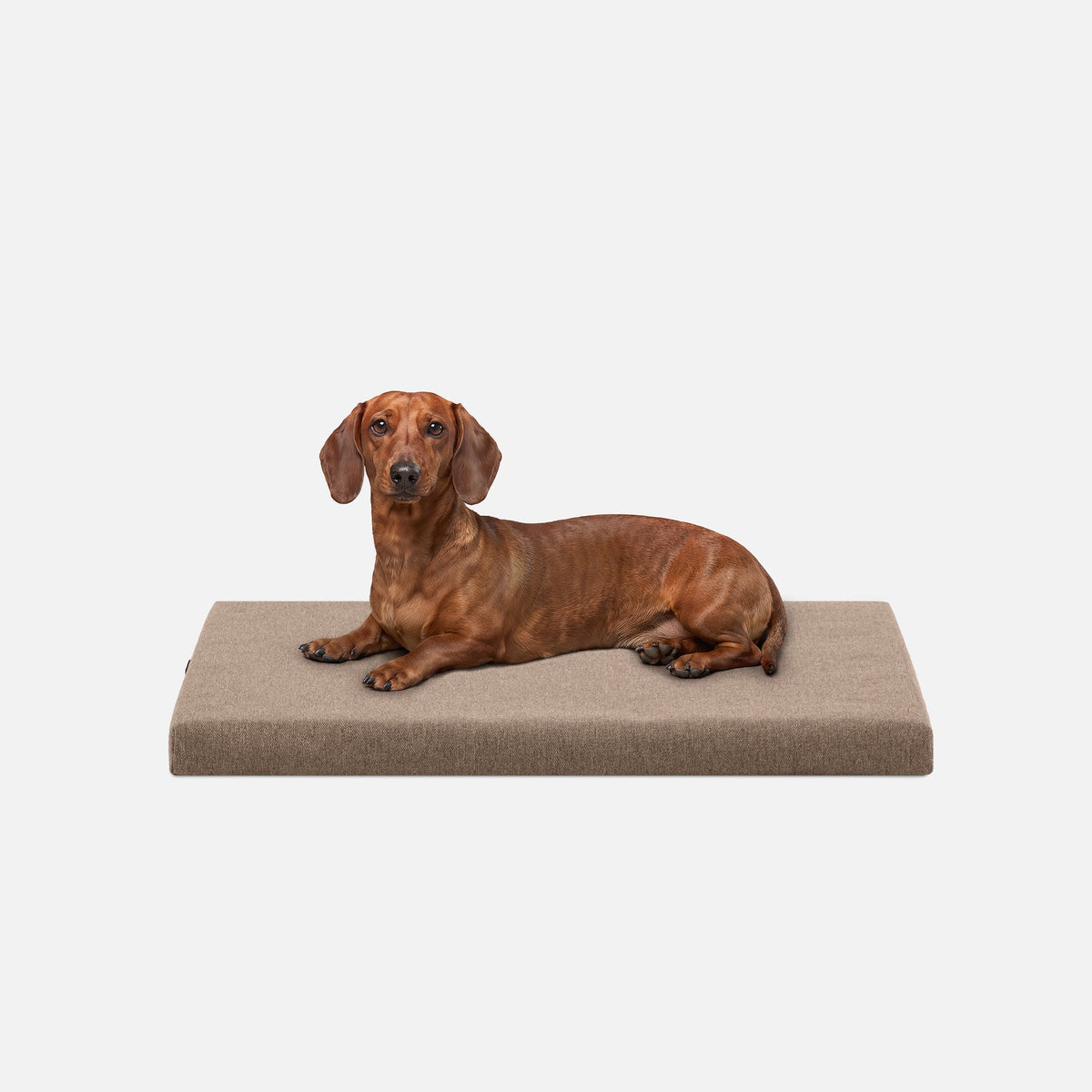 Ripstop Orthopedic Dog Crate Bed, S / Taupe Premium Finish