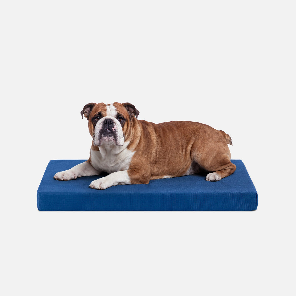 Ripstop Orthopedic Dog Crate Bed, M / Blue Quartz