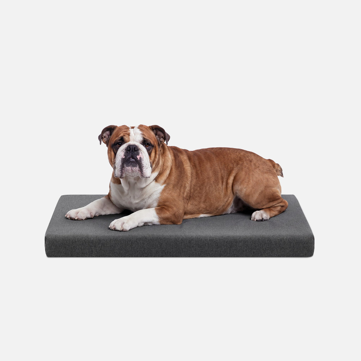 Ripstop Orthopedic Dog Crate Bed, M / Titanium Premium Finish