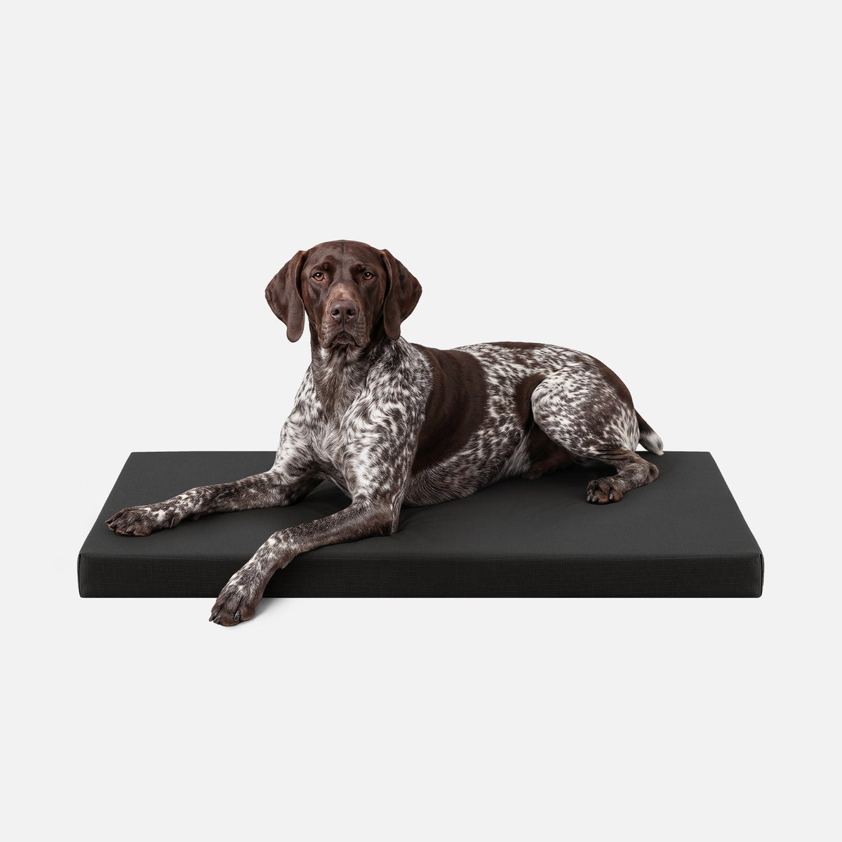 Ripstop Orthopedic Dog Crate Bed, L / Obsidian Black