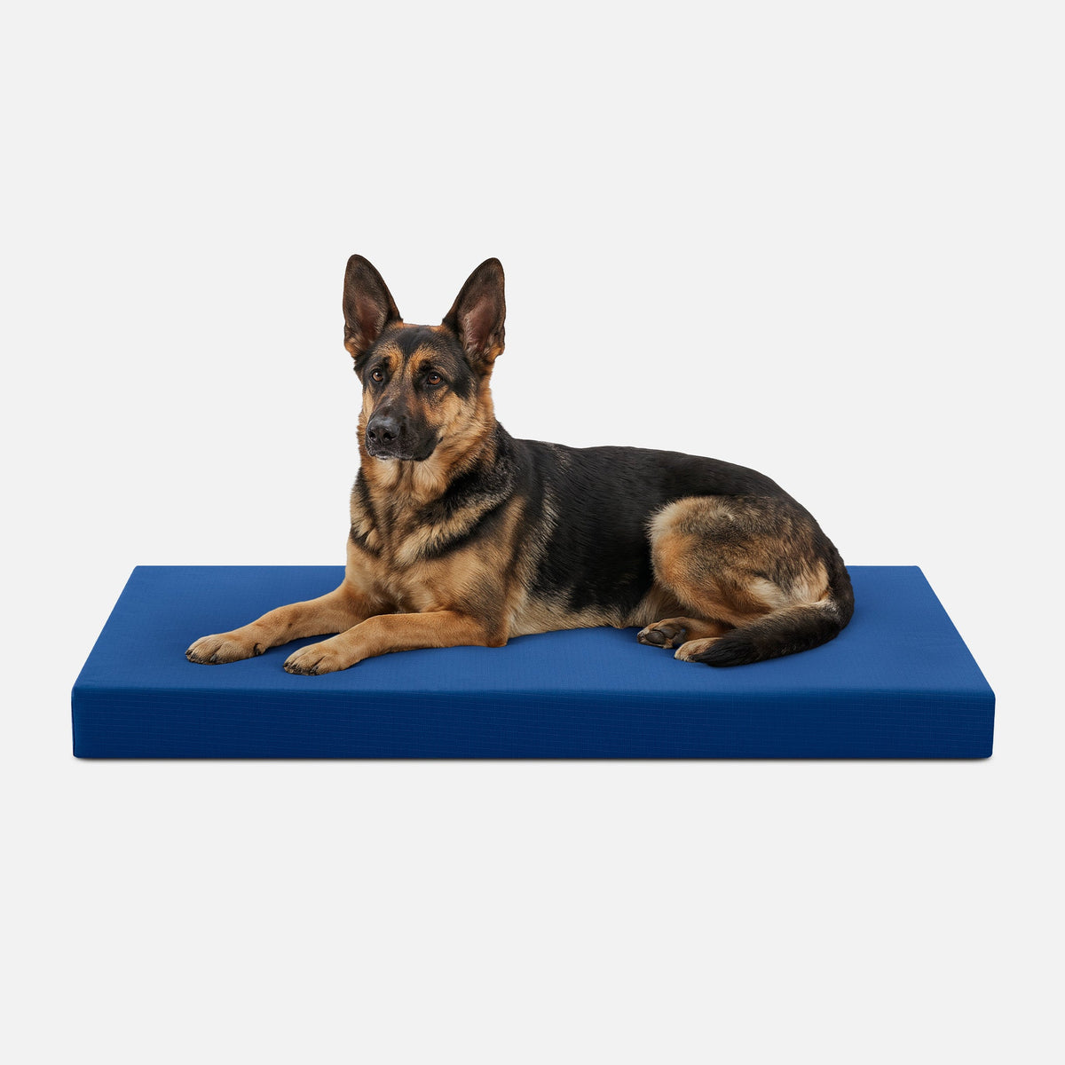 Ripstop Orthopedic Dog Crate Bed, XL / Blue Quartz