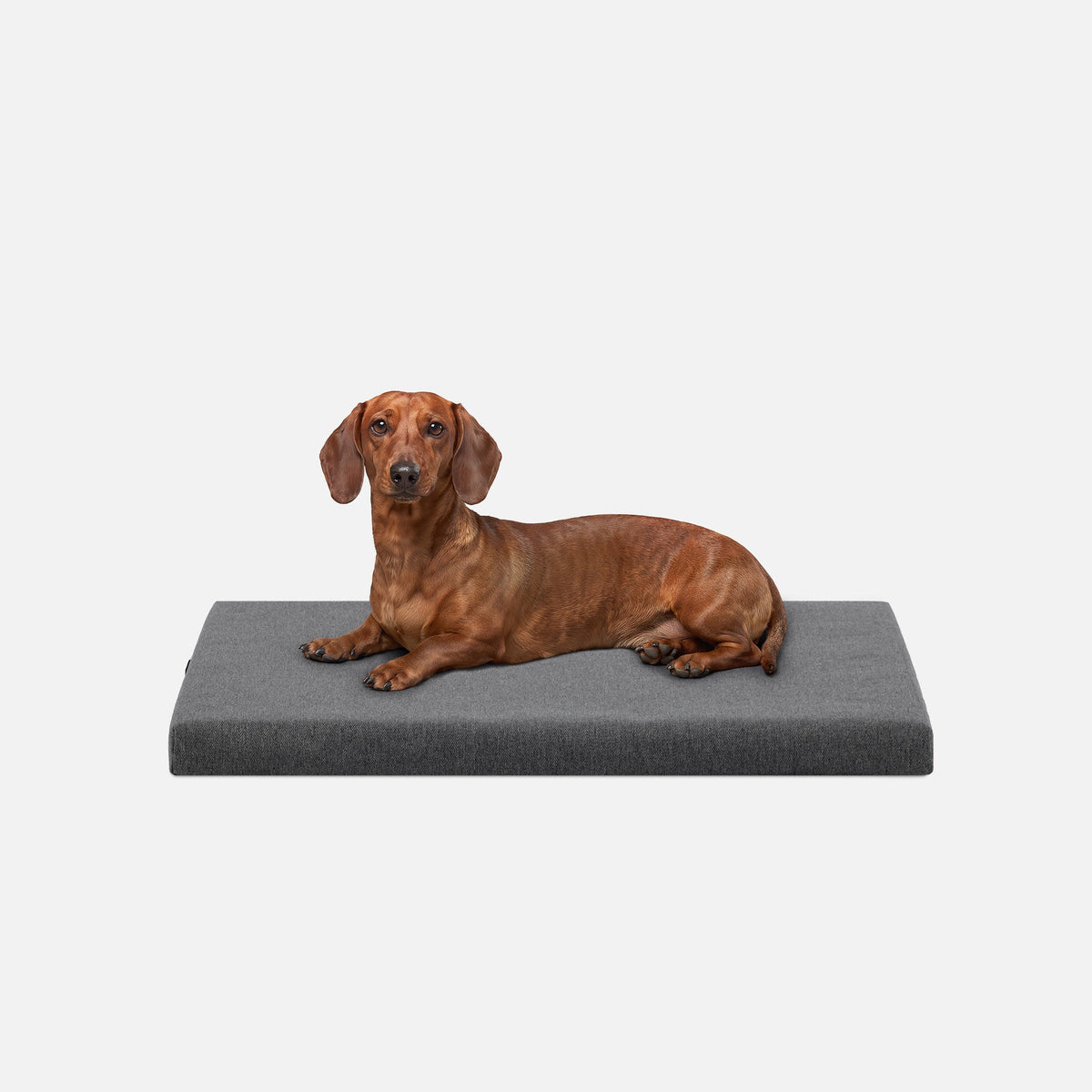 Ripstop Orthopedic Dog Crate Bed, S / Titanium Premium Finish