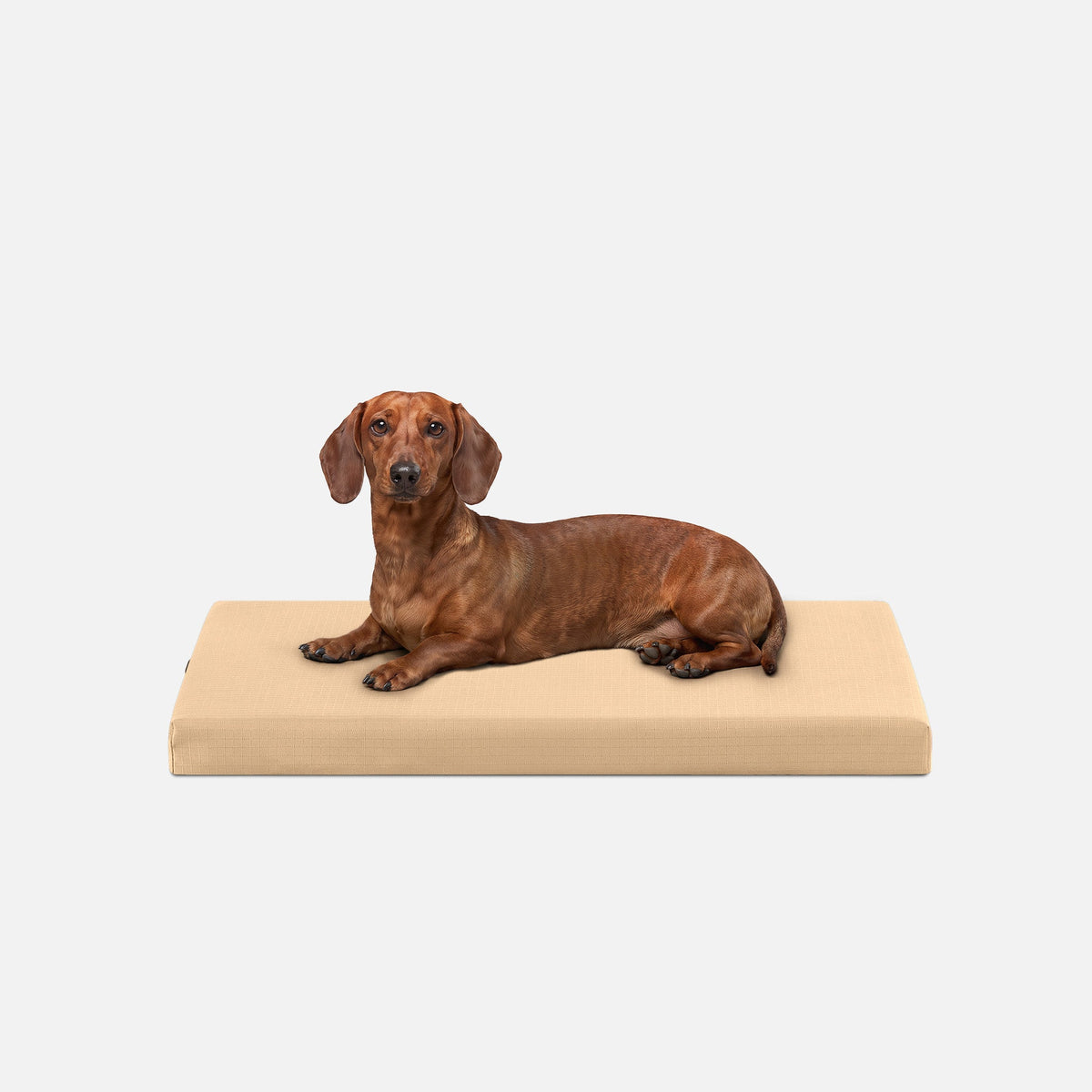 Ripstop Orthopedic Dog Crate Bed, S / Tan