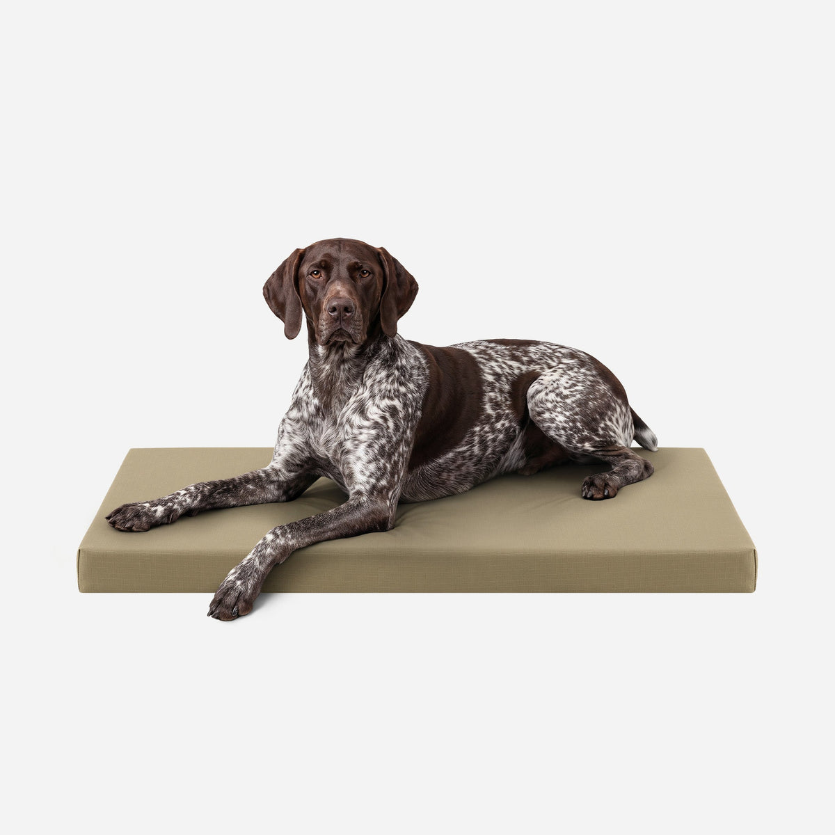 Ripstop Orthopedic Dog Crate Bed, L / Sage Green