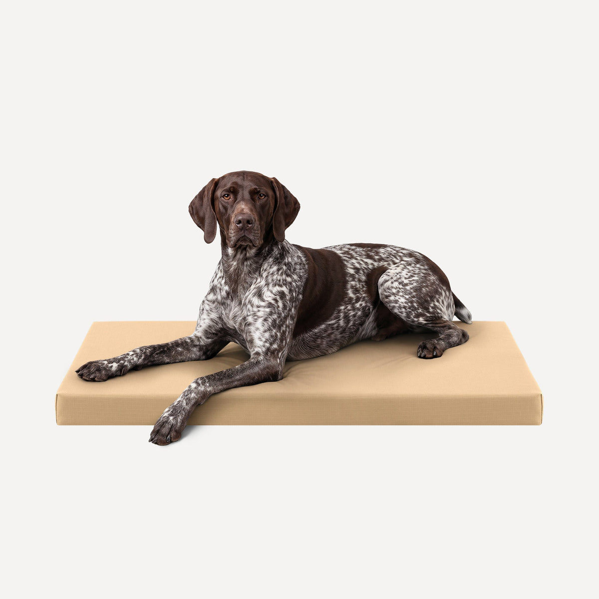 Ripstop Orthopedic Dog Crate Bed, L / Tan