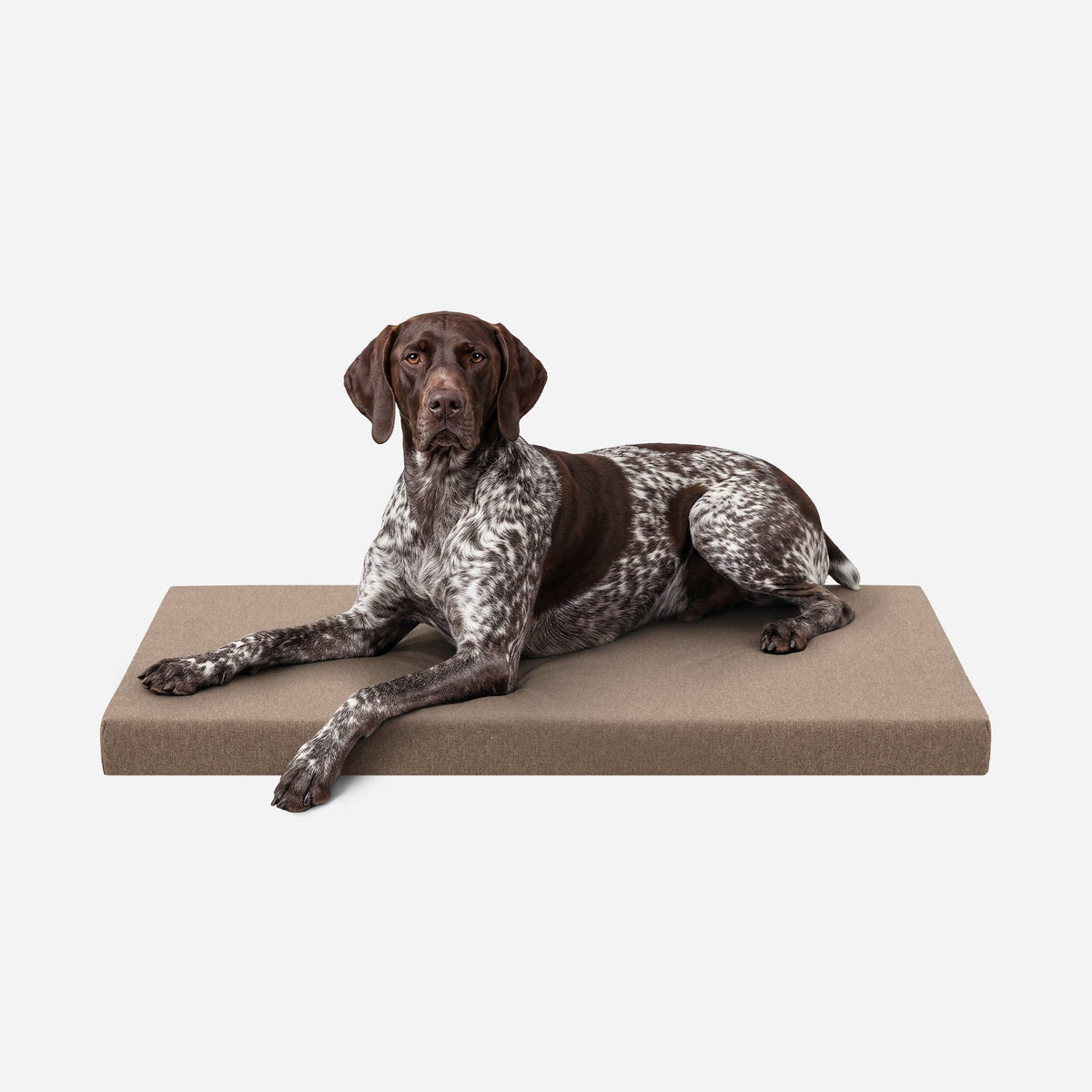Ripstop Orthopedic Dog Crate Bed, L / Taupe Premium Finish