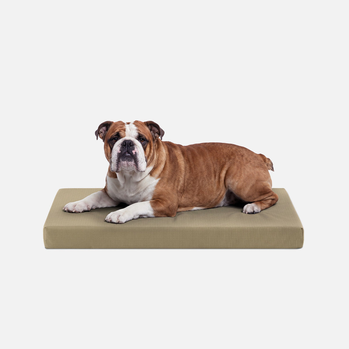 Ripstop Orthopedic Dog Crate Bed, M / Sage Green