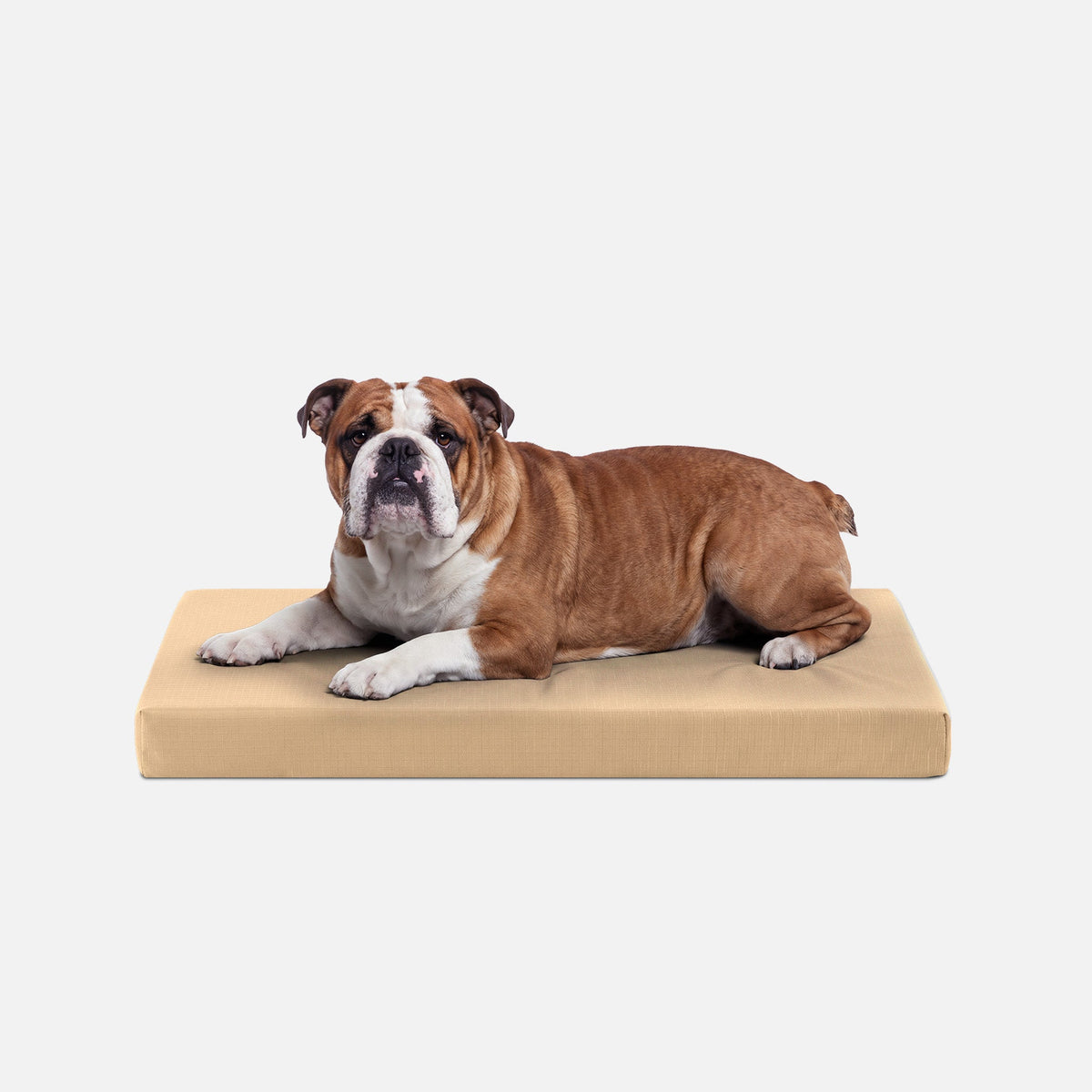 Ripstop Orthopedic Dog Crate Bed, M / Tan
