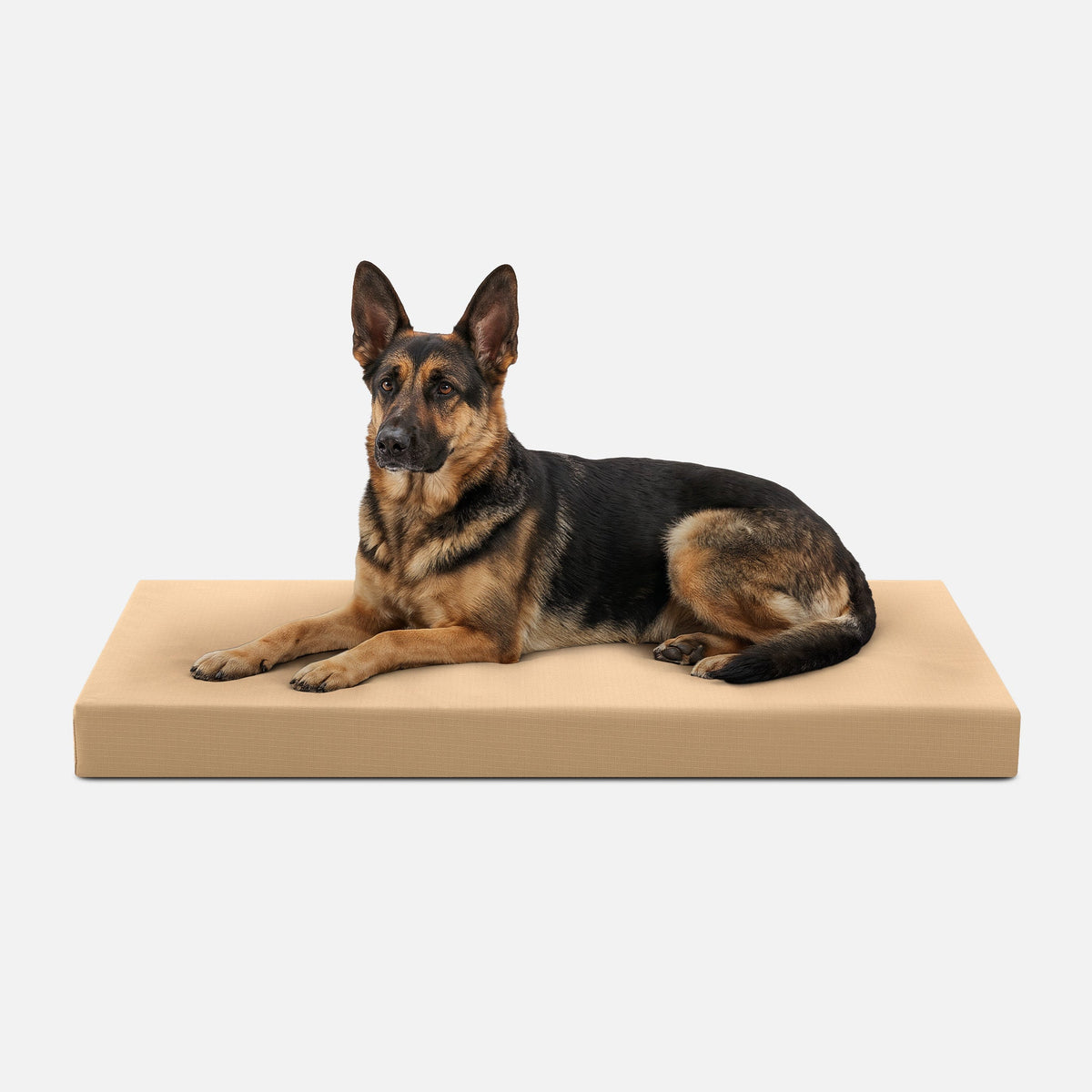 Ripstop Orthopedic Dog Crate Bed, XL / Tan