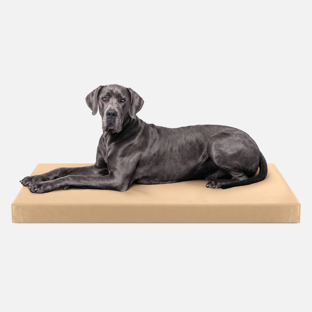 Ripstop Orthopedic Dog Crate Bed, XXL / Tan