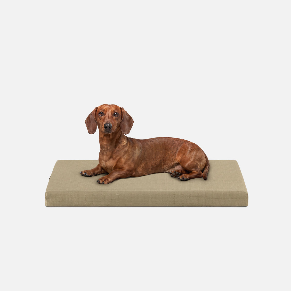 Ripstop Orthopedic Dog Crate Bed, S / Sage Green