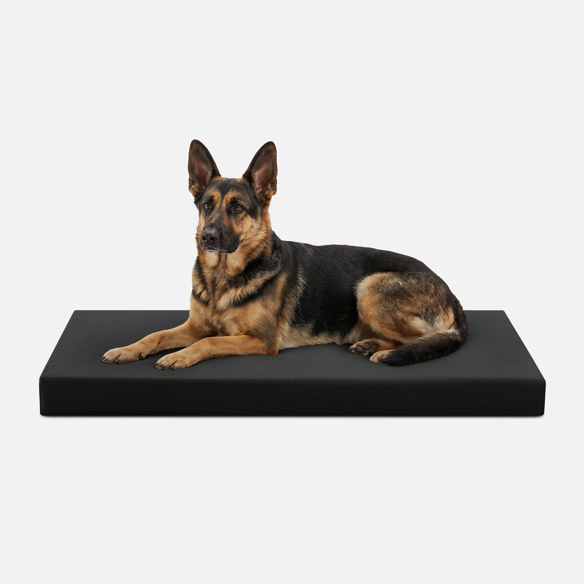 Ripstop Orthopedic Dog Crate Bed, XL / Obsidian Black