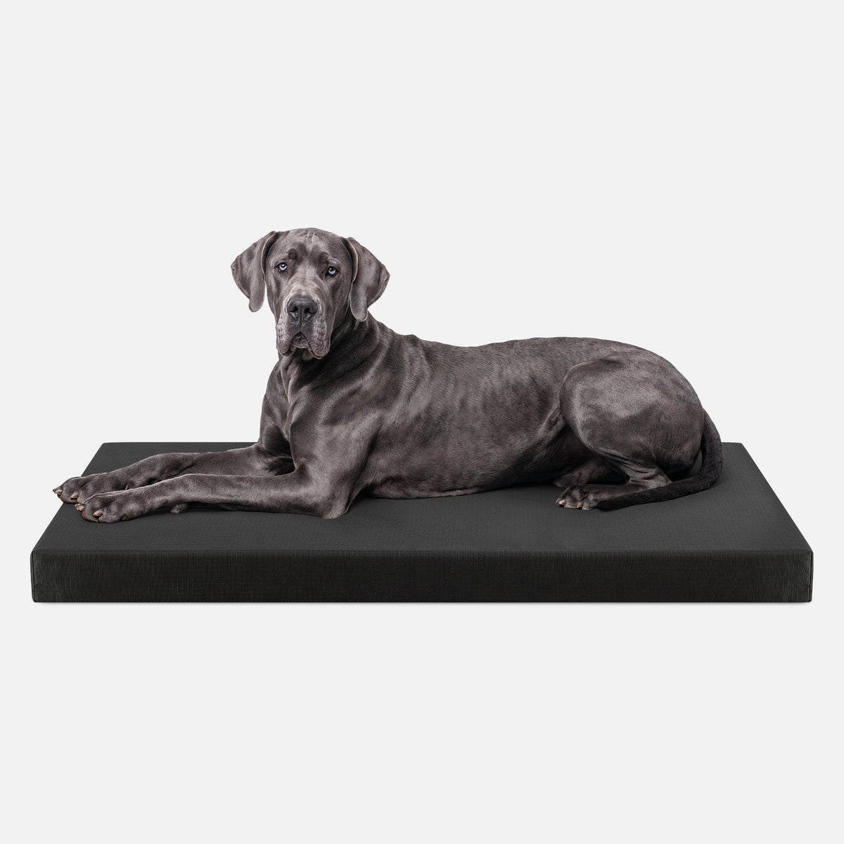 Ripstop Orthopedic Dog Crate Bed, XXL / Obsidian Black