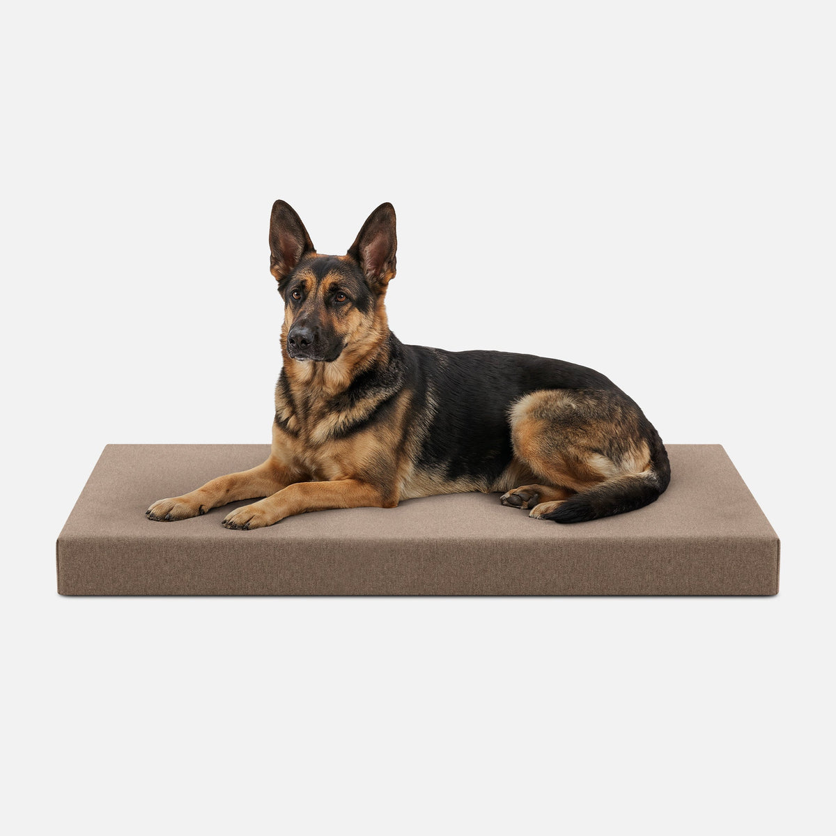 Ripstop Orthopedic Dog Crate Bed, XL / Taupe Premium Finish