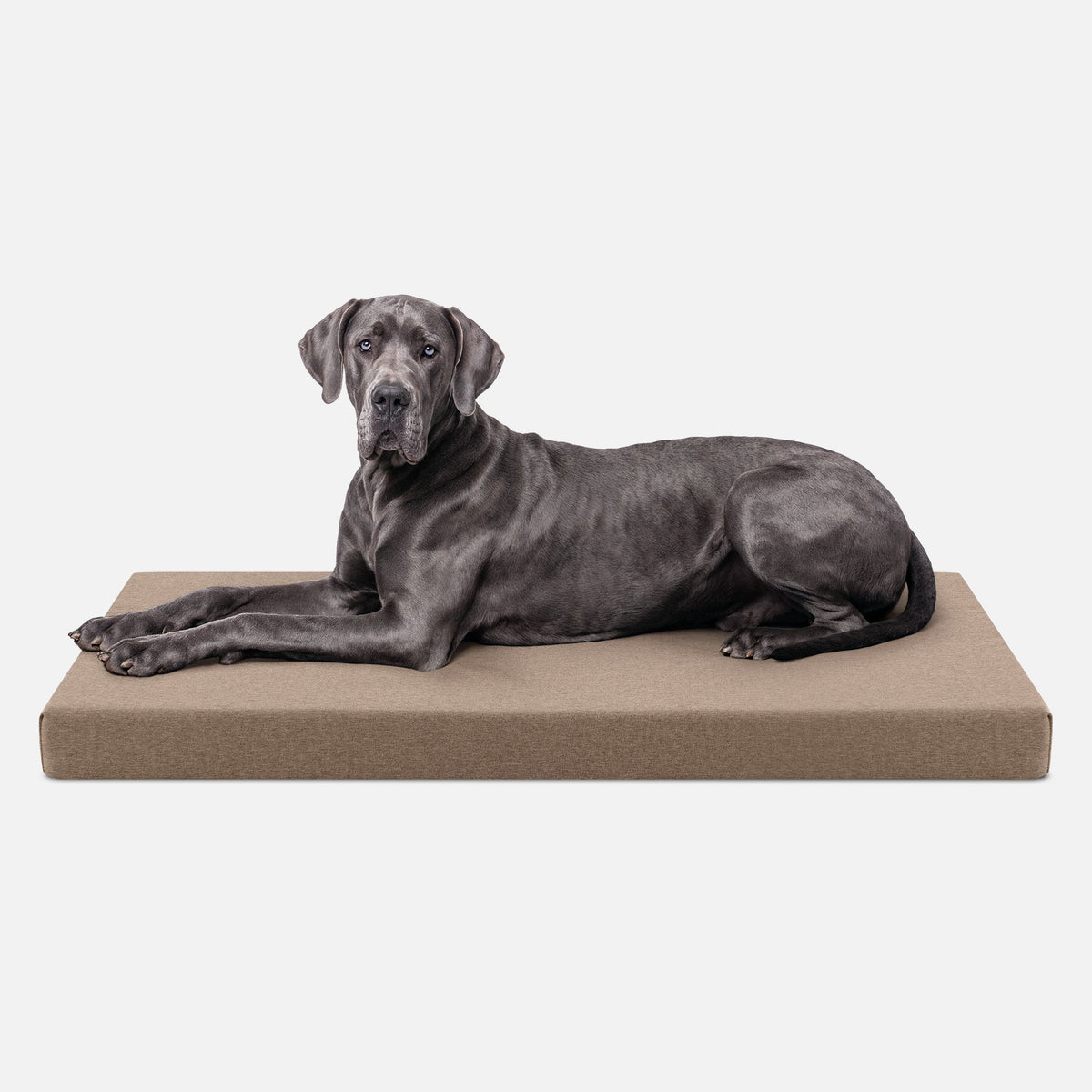 Ripstop Orthopedic Dog Crate Bed, XXL / Taupe Premium Finish