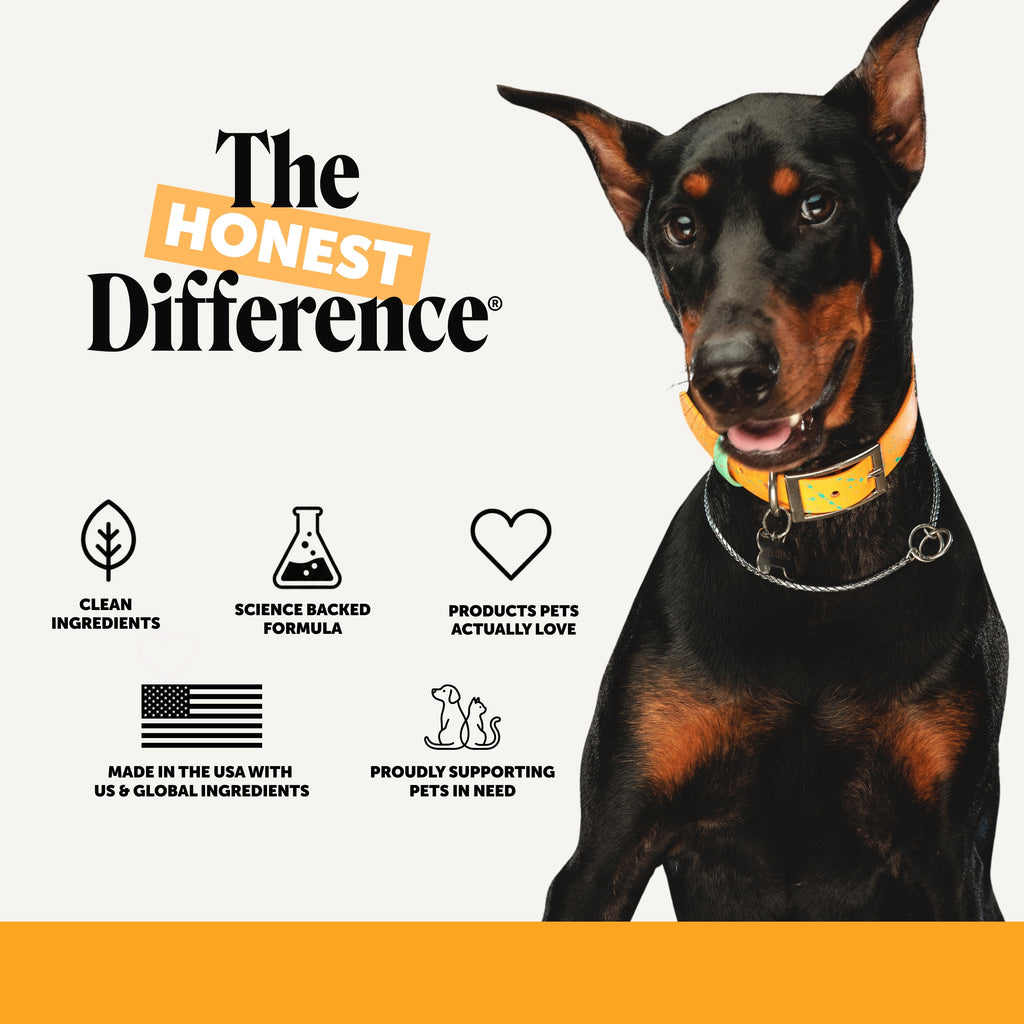 Salmon Oil Liquid Dog Supplement product image 8