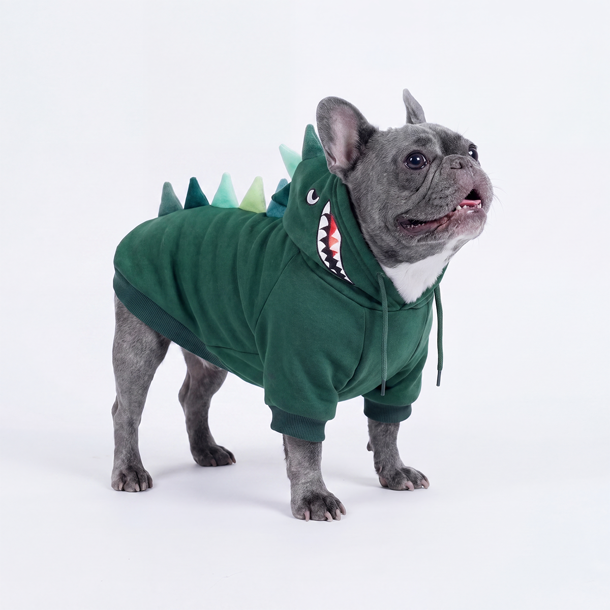 Halloween Dog Hoodie, Halloween Dinosaur Hoodie / L