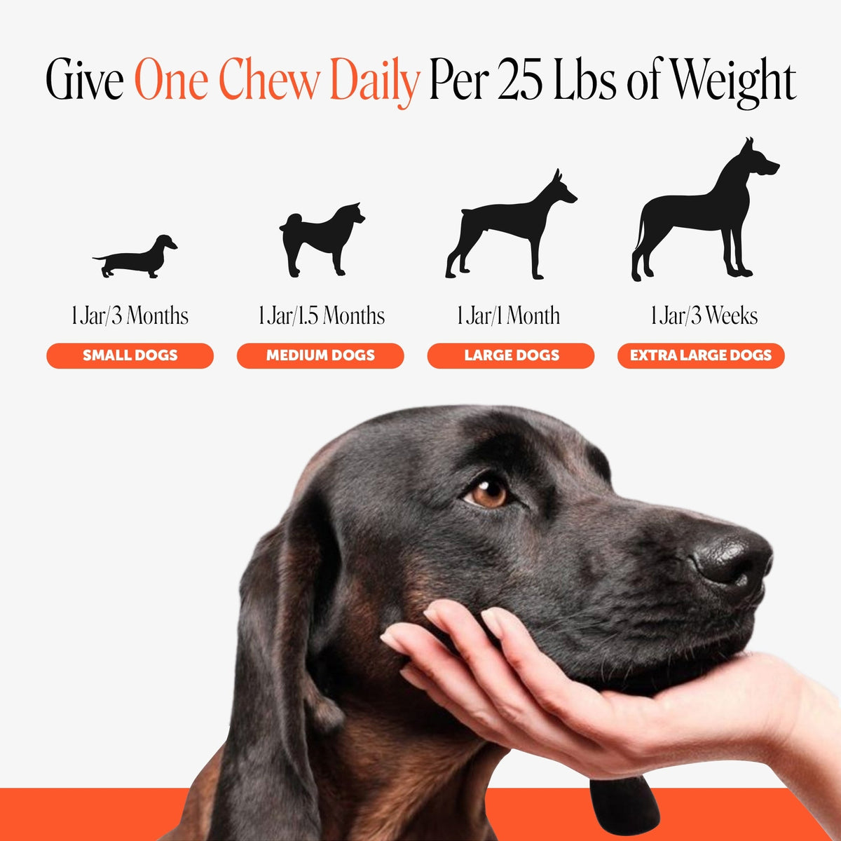 Glucosamine Hip and Joint Soft Chews for Dogs product image 7