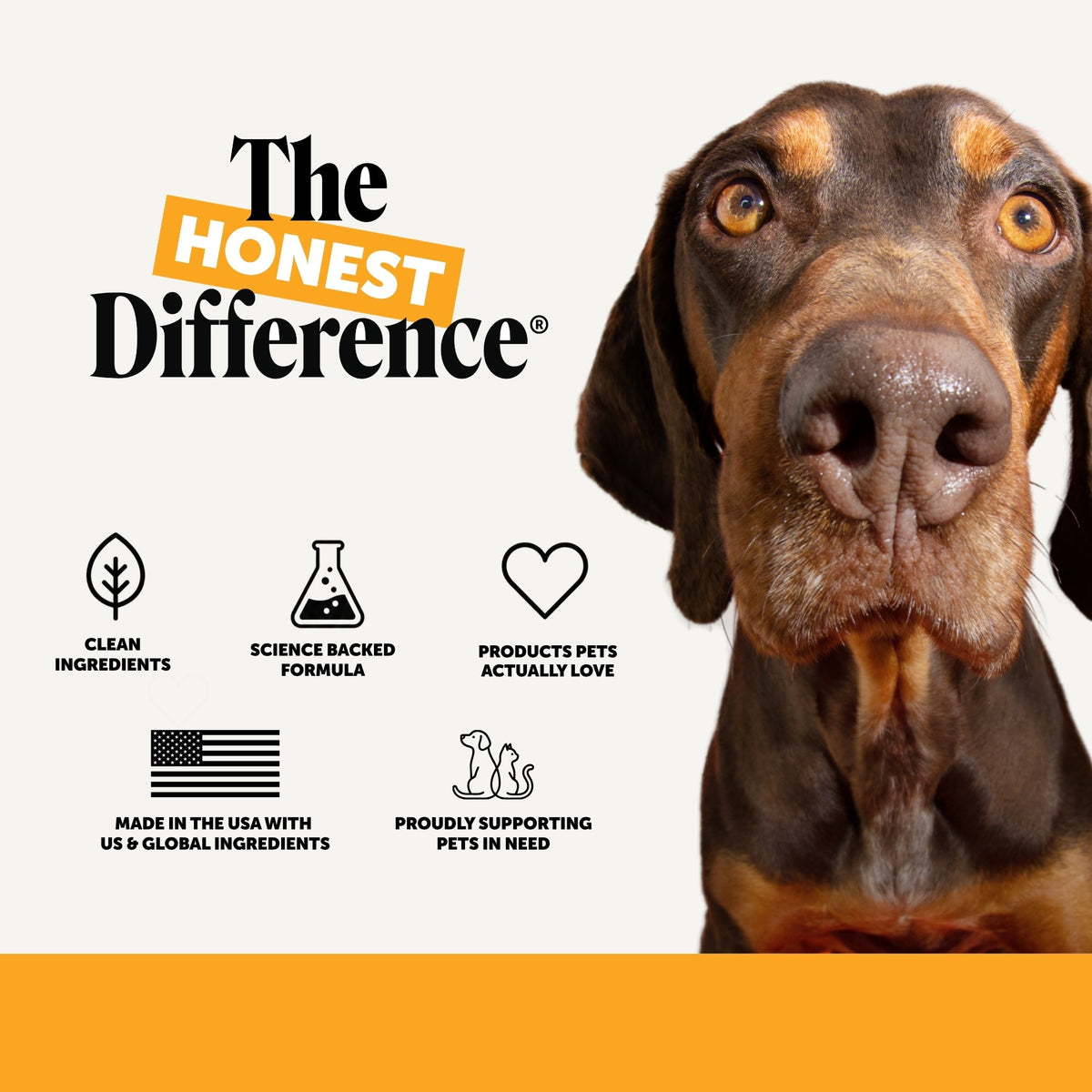 Dog Allergy and Immune Support Soft Chews product image 8
