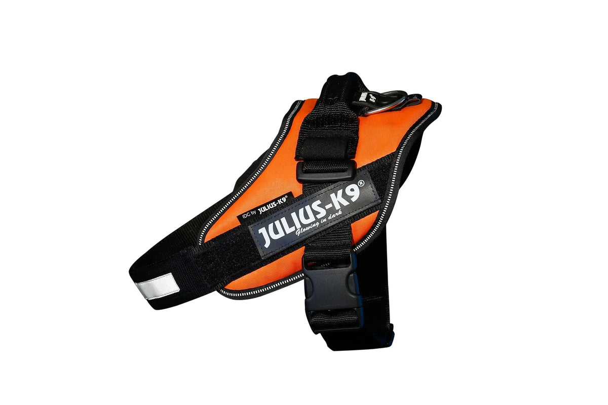 Julius-K9® IDC® Powerharness L / UV Orange