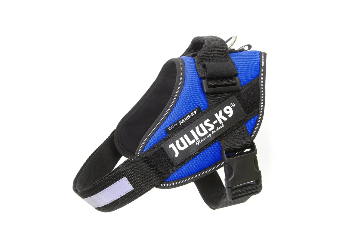 Julius-K9® IDC® Powerharness 3XL / Blue