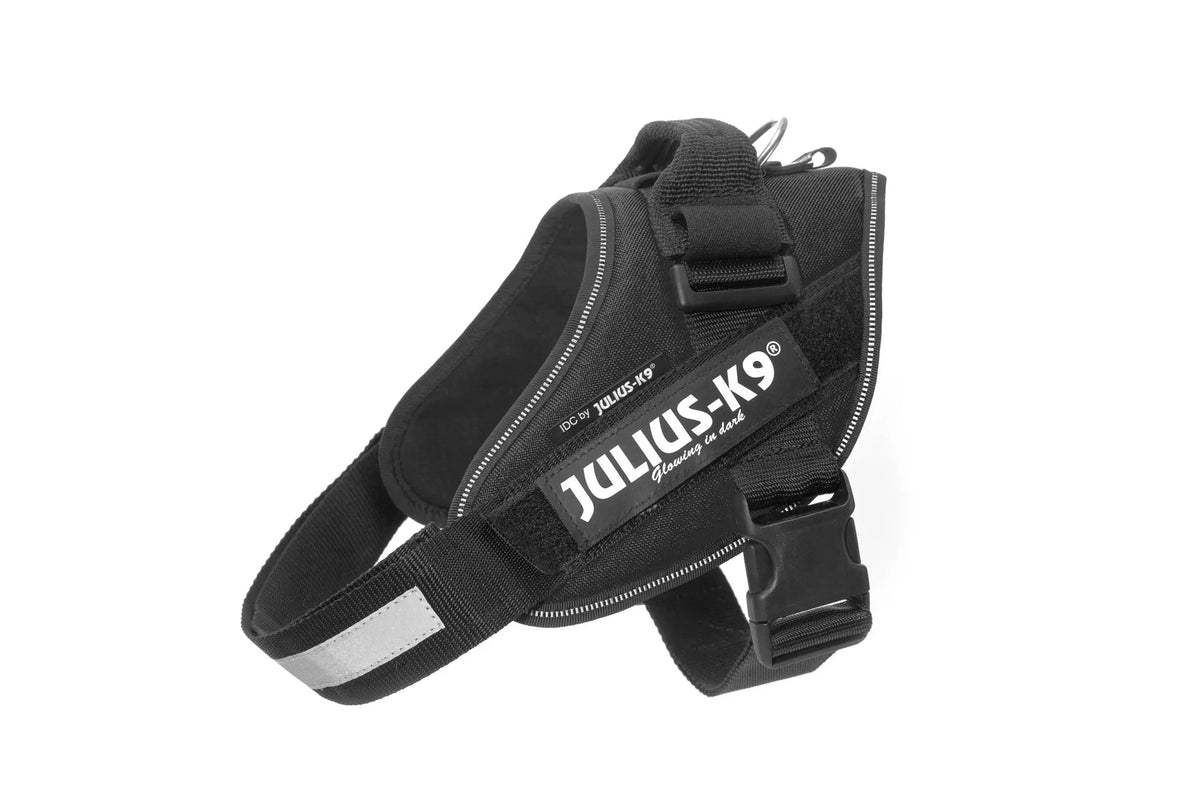 Julius-K9® IDC® Powerharness L / Black