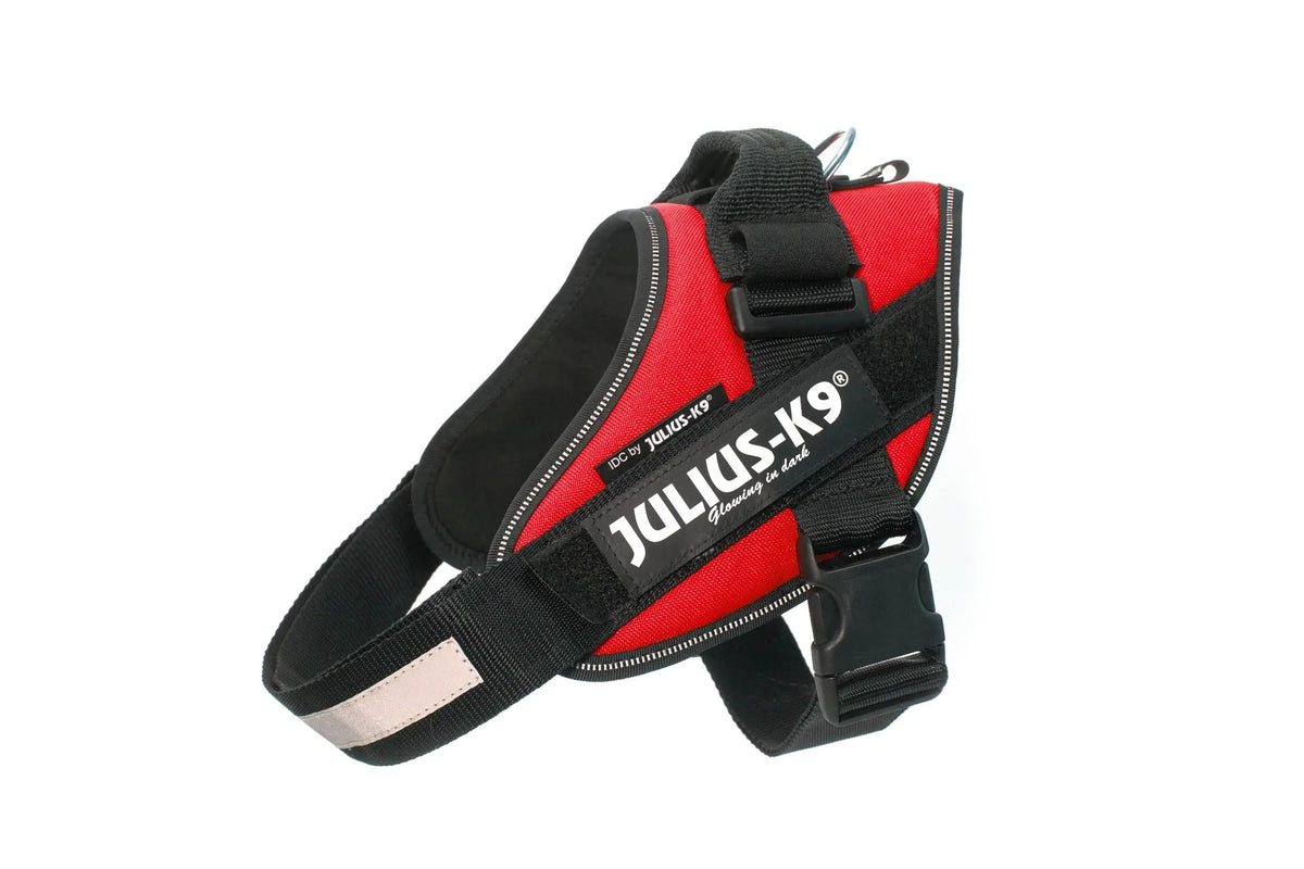 Julius-K9® IDC® Powerharness M / Red