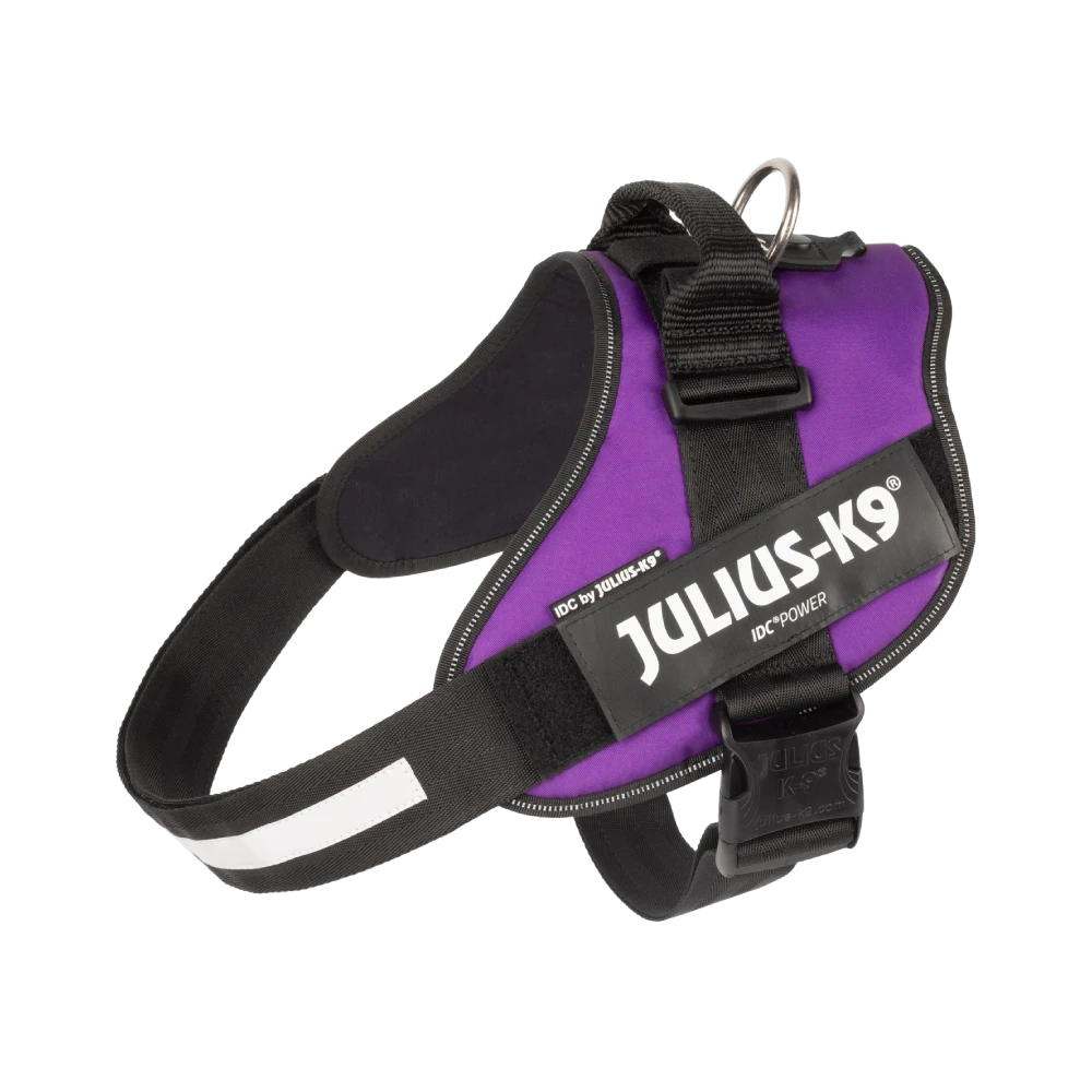 Julius-K9® IDC® Powerharness 3XL / Dark Purple
