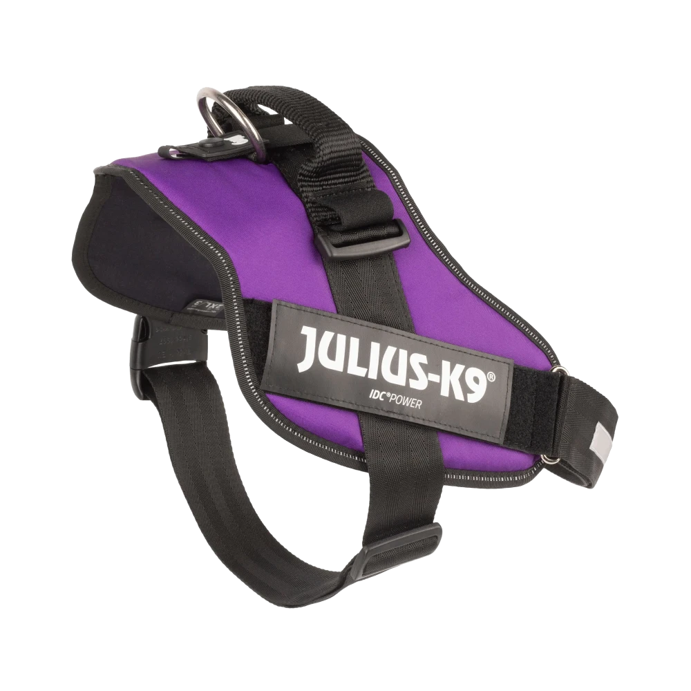 Julius-K9® IDC® Powerharness 2XL / Dark Purple
