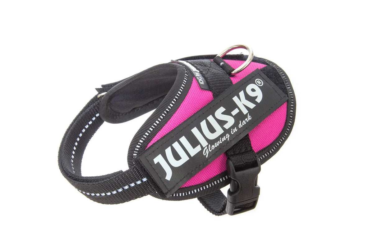 Julius-K9® IDC® Powerharness 2XS / Dark Pink