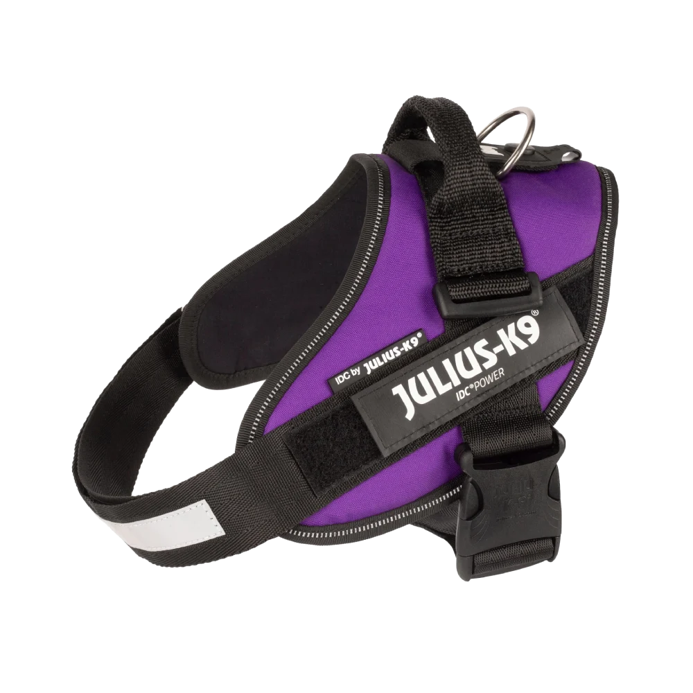 Julius-K9® IDC® Powerharness M / Dark Purple