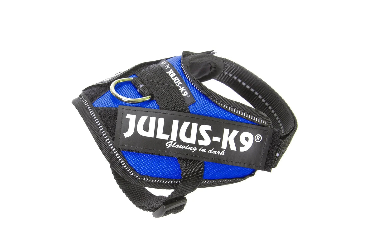 Julius-K9® IDC® Powerharness 3XS / Blue