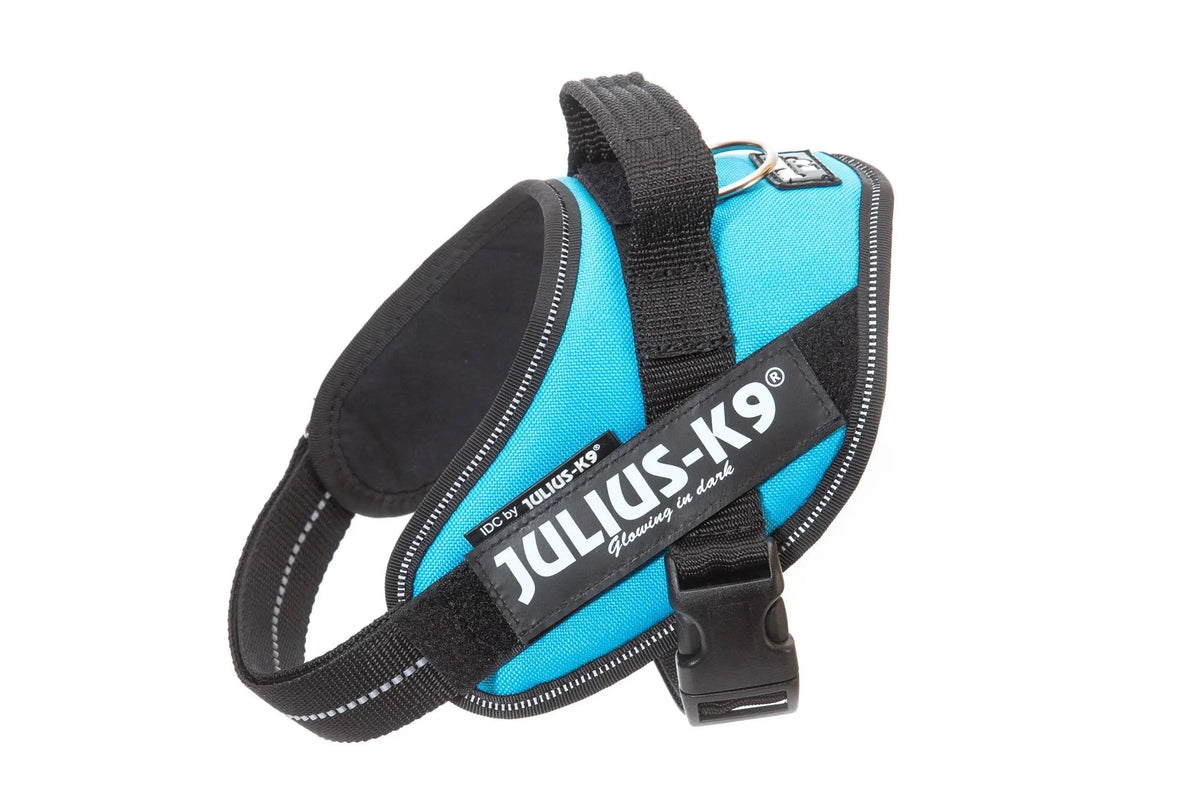 Julius-K9® IDC® Powerharness S / Aquamarine