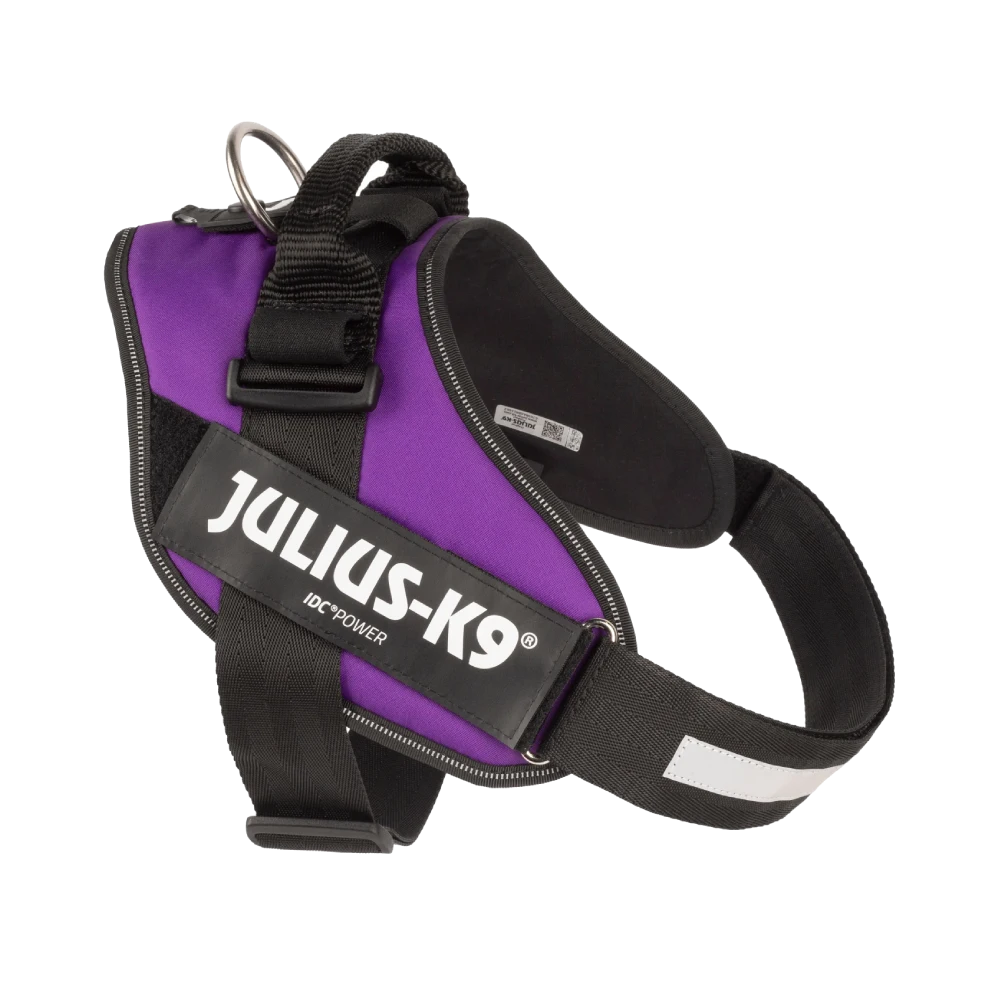 Julius-K9® IDC® Powerharness L / Dark Purple