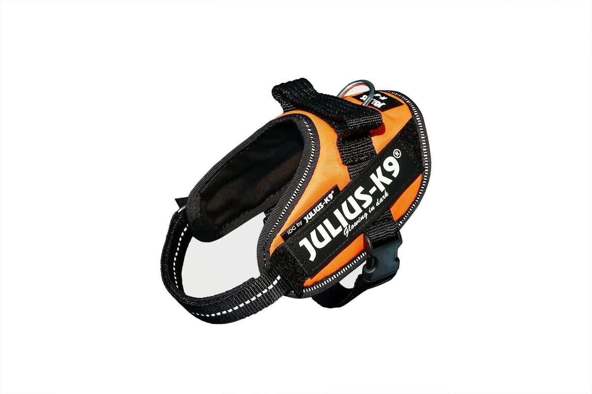 Julius-K9® IDC® Powerharness XS / UV Orange