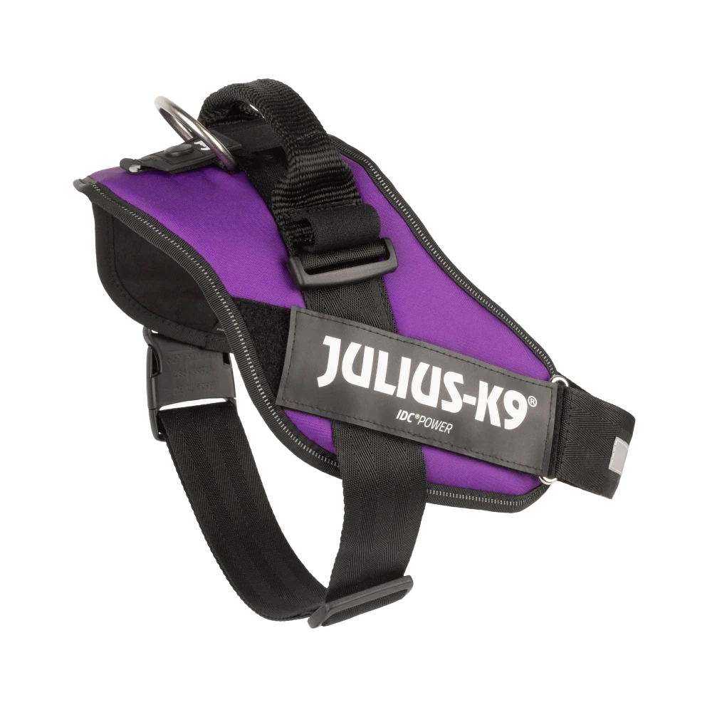 Julius-K9® IDC® Powerharness XL / Dark Purple