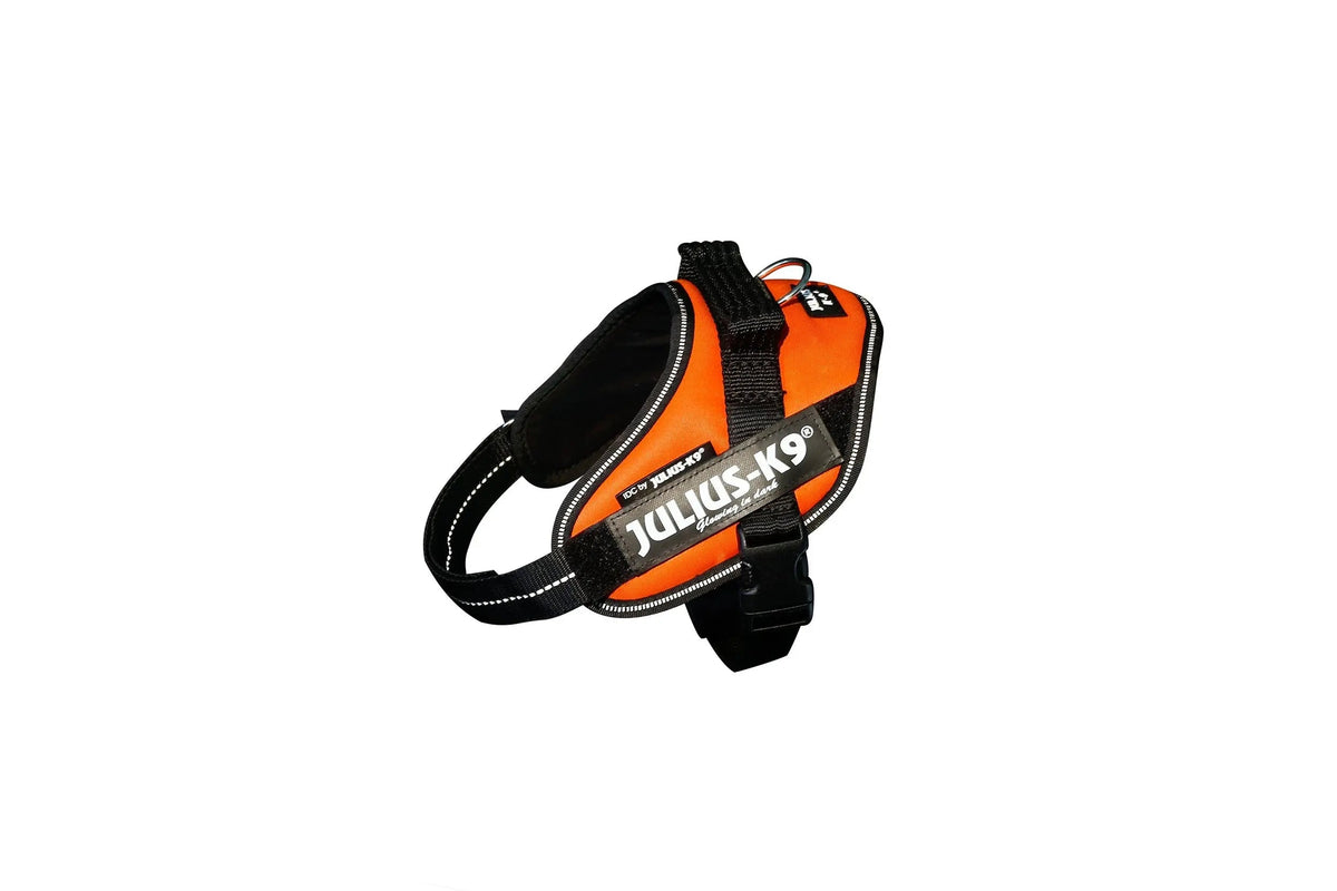 Julius-K9® IDC® Powerharness S / UV Orange