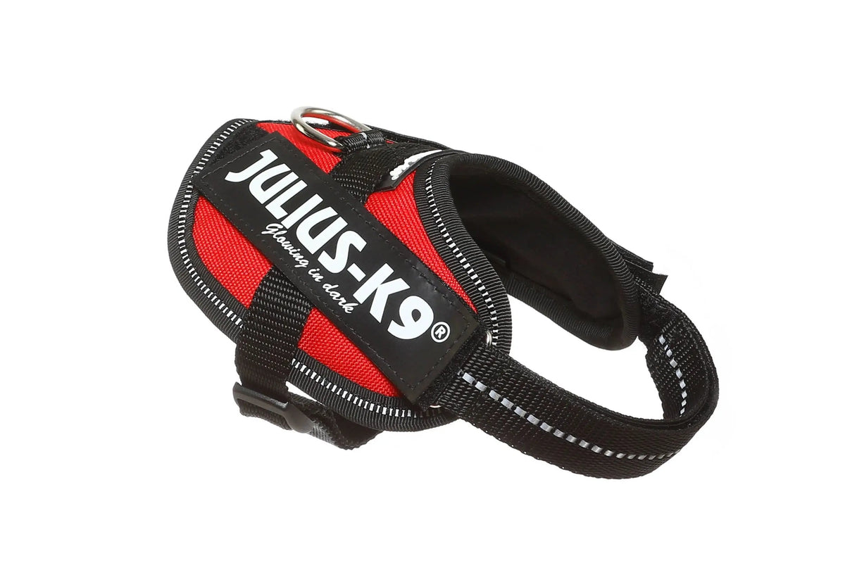 Julius-K9® IDC® Powerharness 2XS / Red