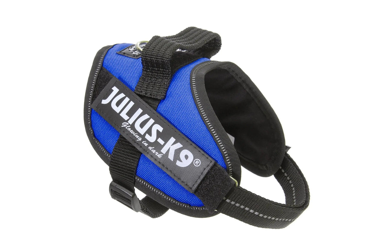 Julius-K9® IDC® Powerharness XS / Blue