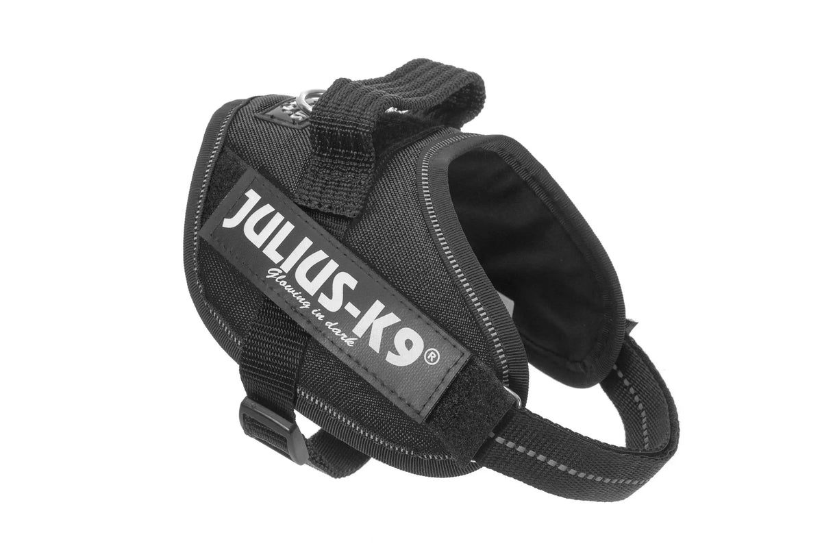 Julius-K9® IDC® Powerharness XS / Black