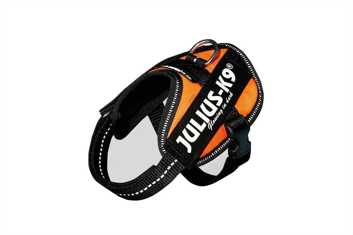 Julius-K9® IDC® Powerharness 2XS / UV Orange